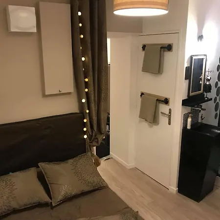 Appartamento Au Coeur De Ferrand 30 M² Cheminee *