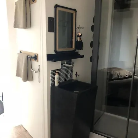 Appartamento Au Coeur De Ferrand 30 M² Cheminee